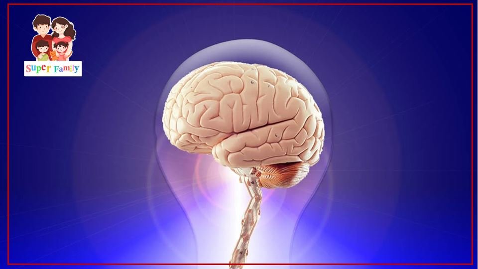 ذاكرة الانسان