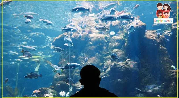 كائنات بحرية تعليم الاطفال العلوم