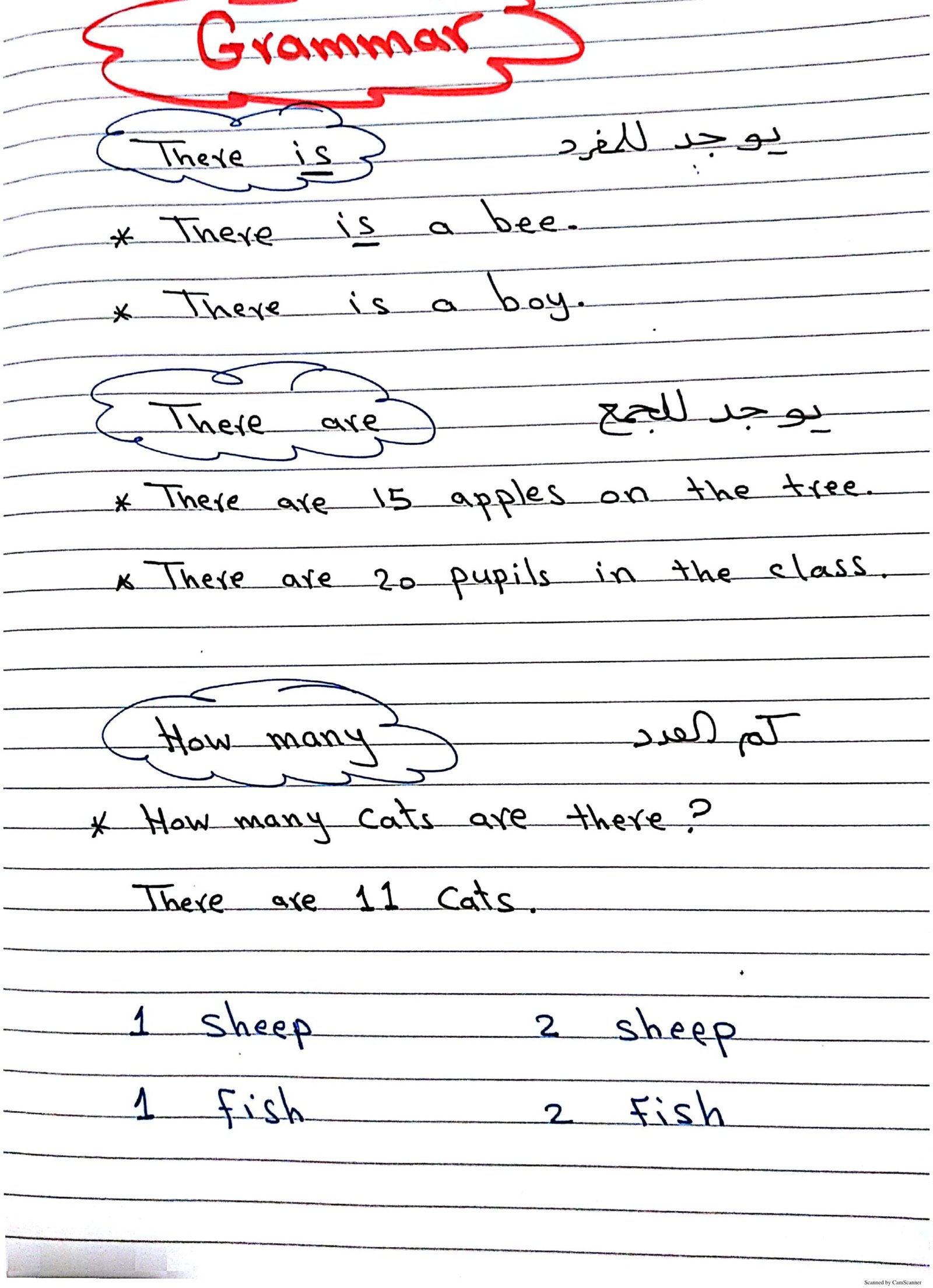 ملزمة شرح الوحدة 5للصف الأول فى اللغة الإنجليزية pdf تحميل مباشر ملزمة شرح الوحدة 5للصف الأول فى اللغة الإنجليزية pdf تحميل مباشر