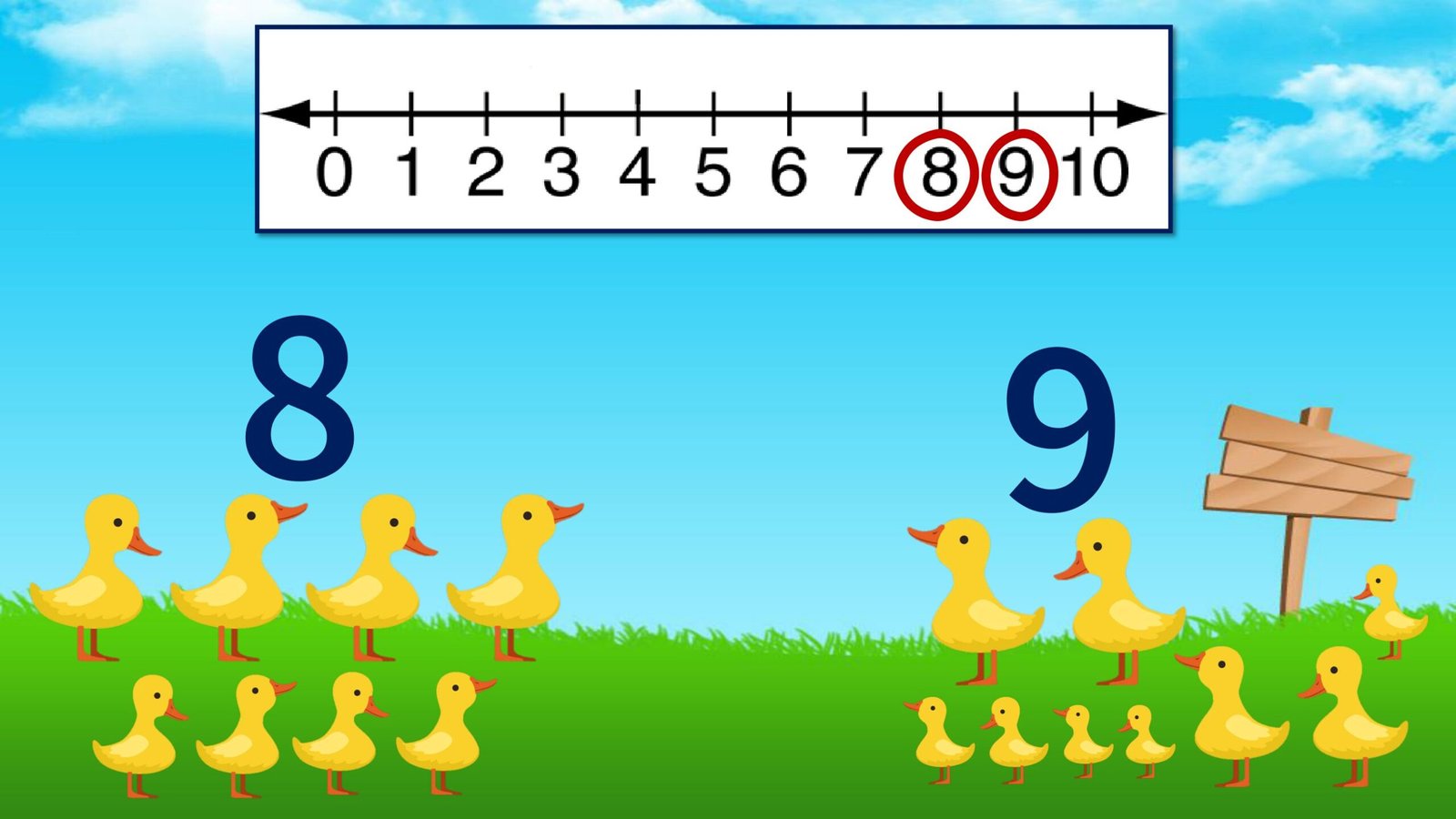 مفاهيم الرياضة اكثر من وأقل من pdf تحميل مباشر