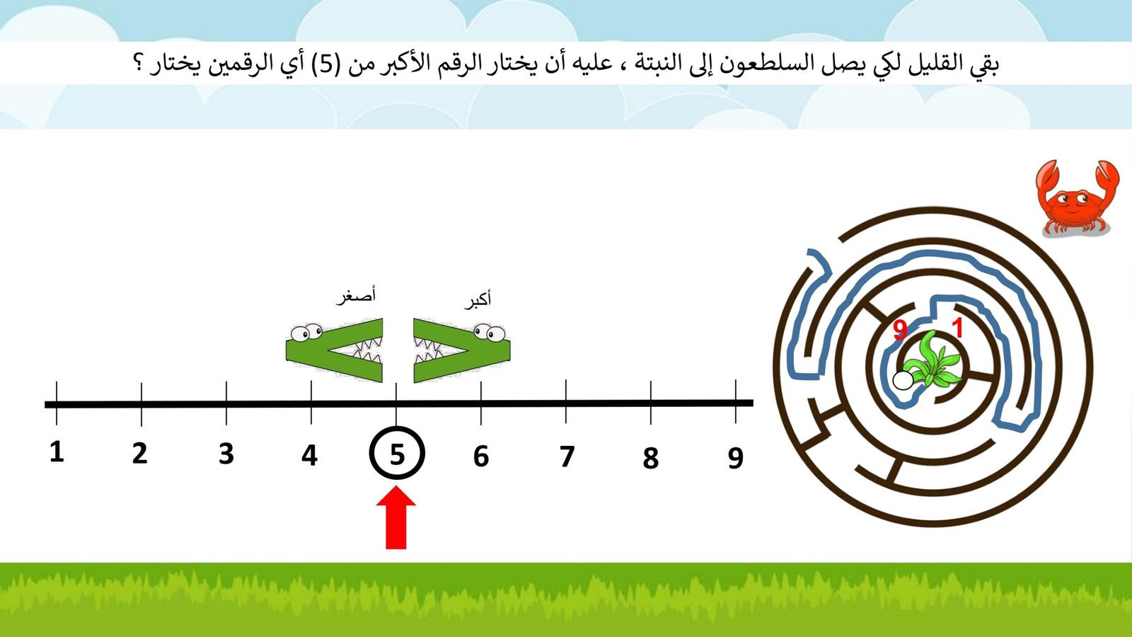مفهوم تعلم الرياضيات للصف الأول pdf تحميل مباشر