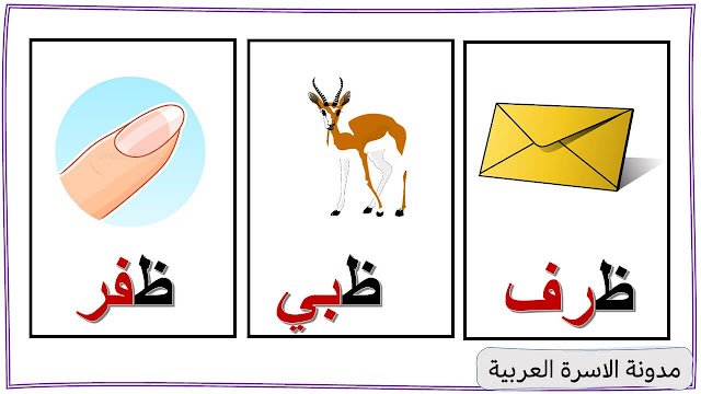 كلمات تبدأ بحرف الظاء :