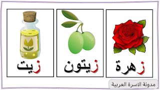 كلمات تبدأ بحرف الزاي :