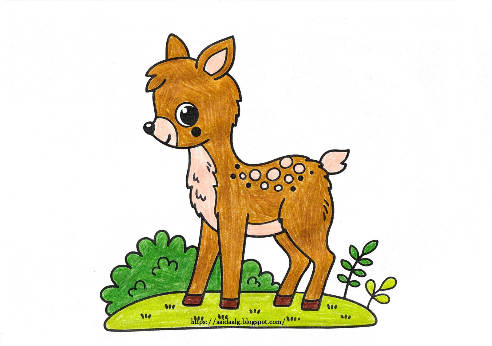 أوراق تلوين الحيوانات pdf تحميل مباشر مجاني