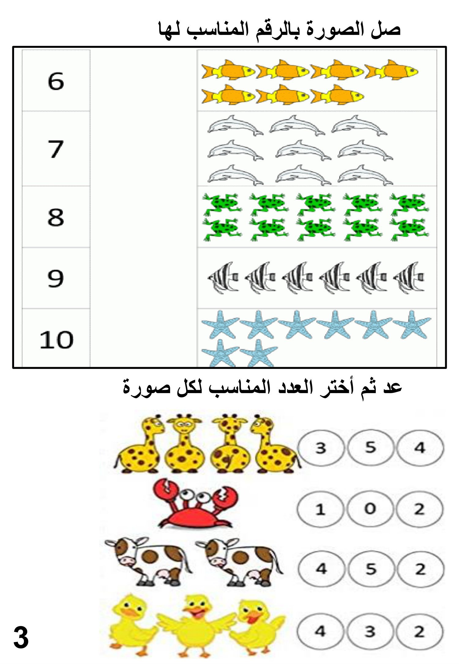 ملزمة المهارات الأساسية لمادة الرياضيات pdf تحميل مباشر مجاني