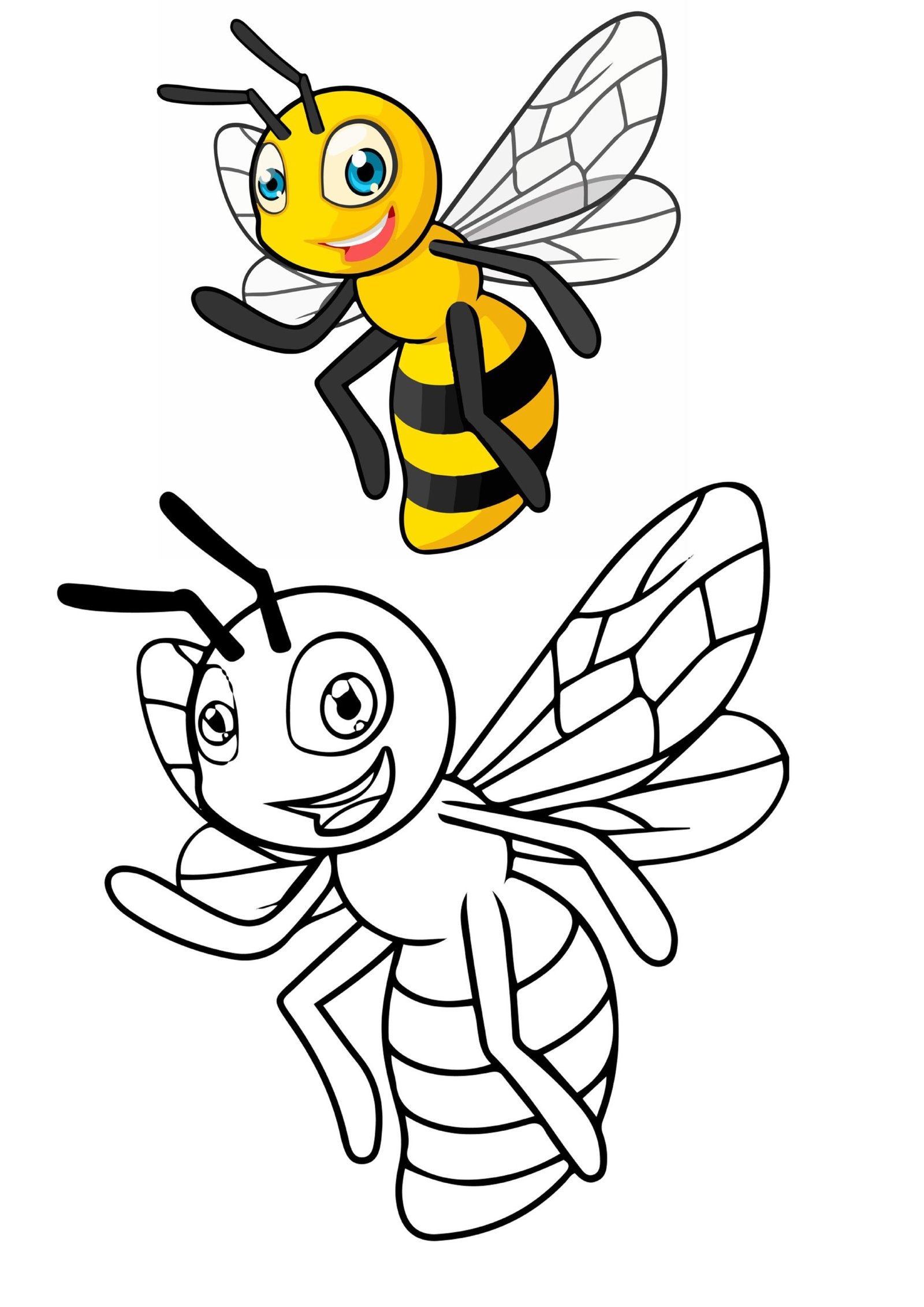 بطاقات تلوين الحشرات pdf تحميل مباشر مجاني بطاقات تلوين الحشرات pdf تحميل مباشر مجاني