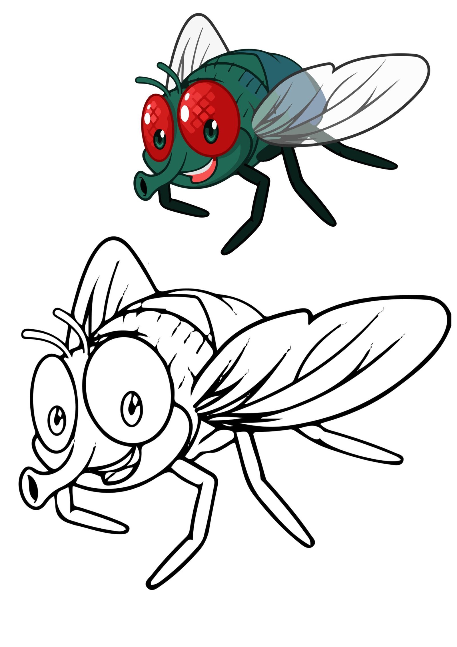 بطاقات تلوين الحشرات pdf تحميل مباشر مجاني بطاقات تلوين الحشرات pdf تحميل مباشر مجاني