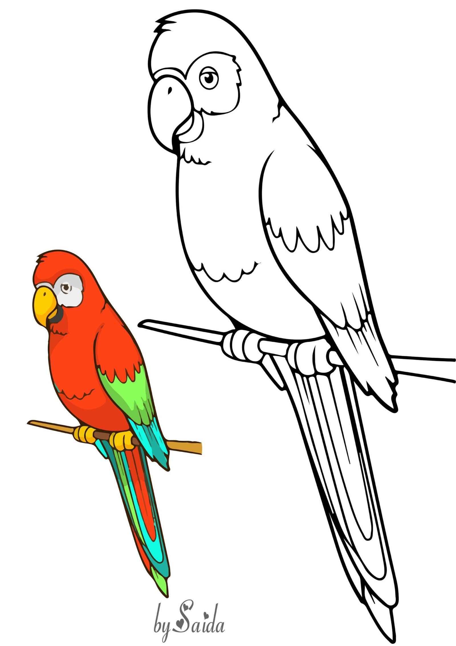أوراق تلوين الببغاء pdf تحميل مباشر مجاني أوراق تلوين الببغاء pdf تحميل مباشر مجاني
