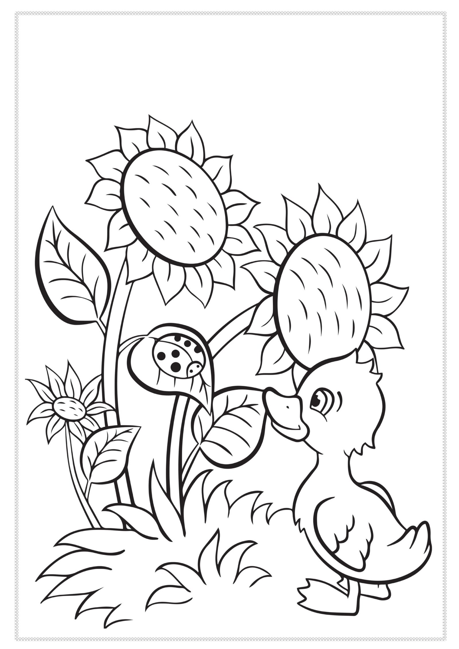 أوراق رسومات تلوين الطبيعة pdf تحميل مباشر مجاني