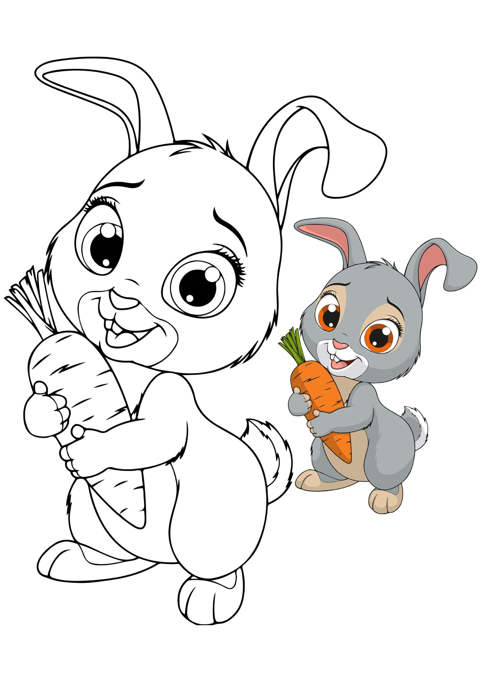 مذكرة تلوين الحيوانات pdf تحميل مباشر مجاني