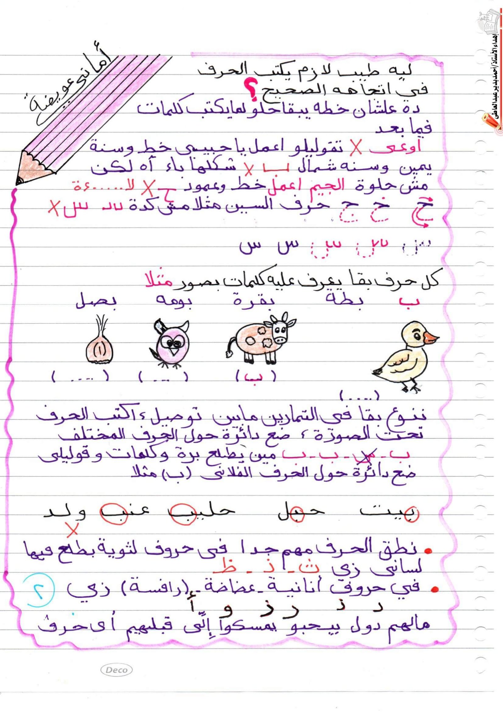 مذكرتي في التأسيس للغة العربية لرياض الأطفال والصفوف الأولى PDF