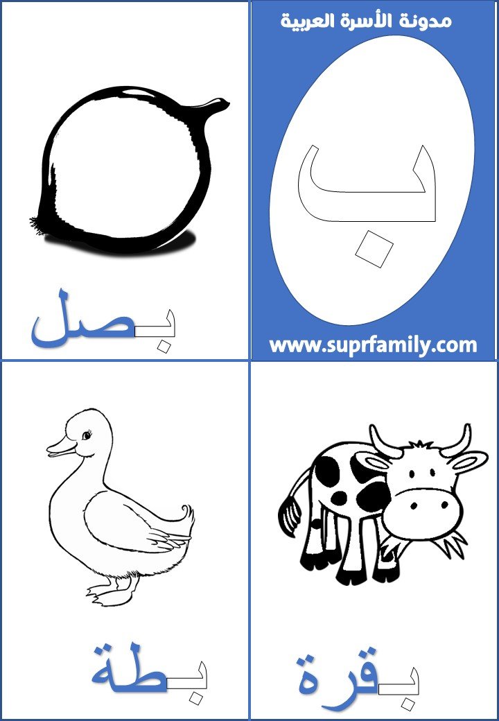 اوراق عمل حرف الباء لرياض الاطفال
