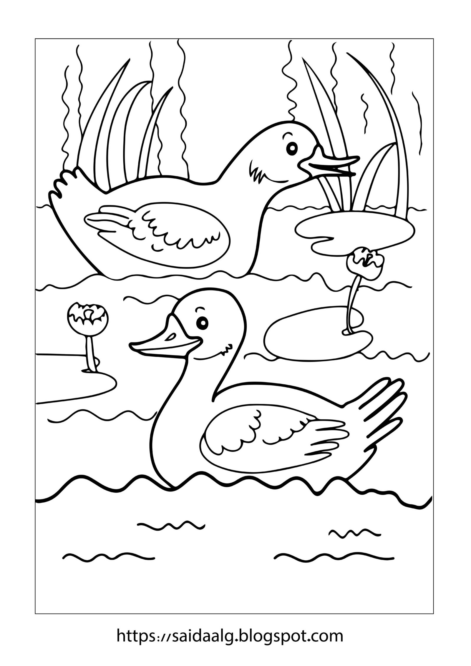 أوراق رسومات تلوين الطبيعة pdf تحميل مباشر مجاني أوراق رسومات تلوين الطبيعة pdf تحميل مباشر مجاني