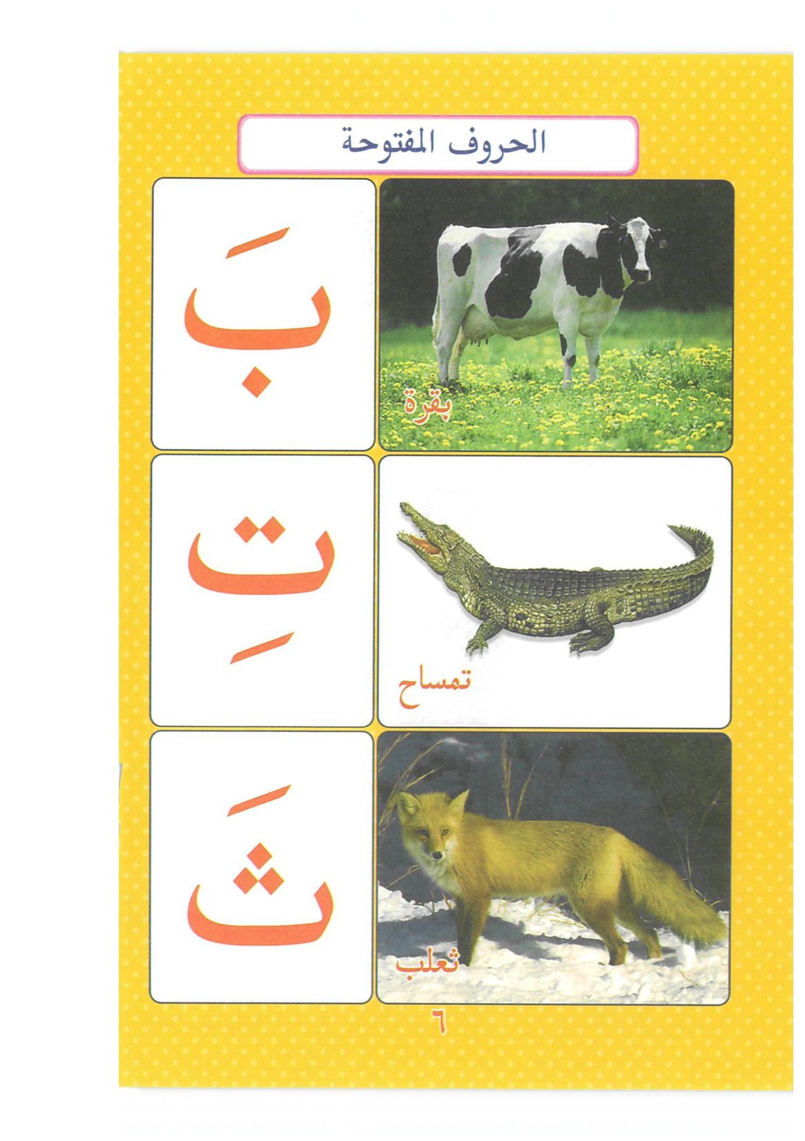 تحميل كتاب القراءة المصورة للاطفال PDF