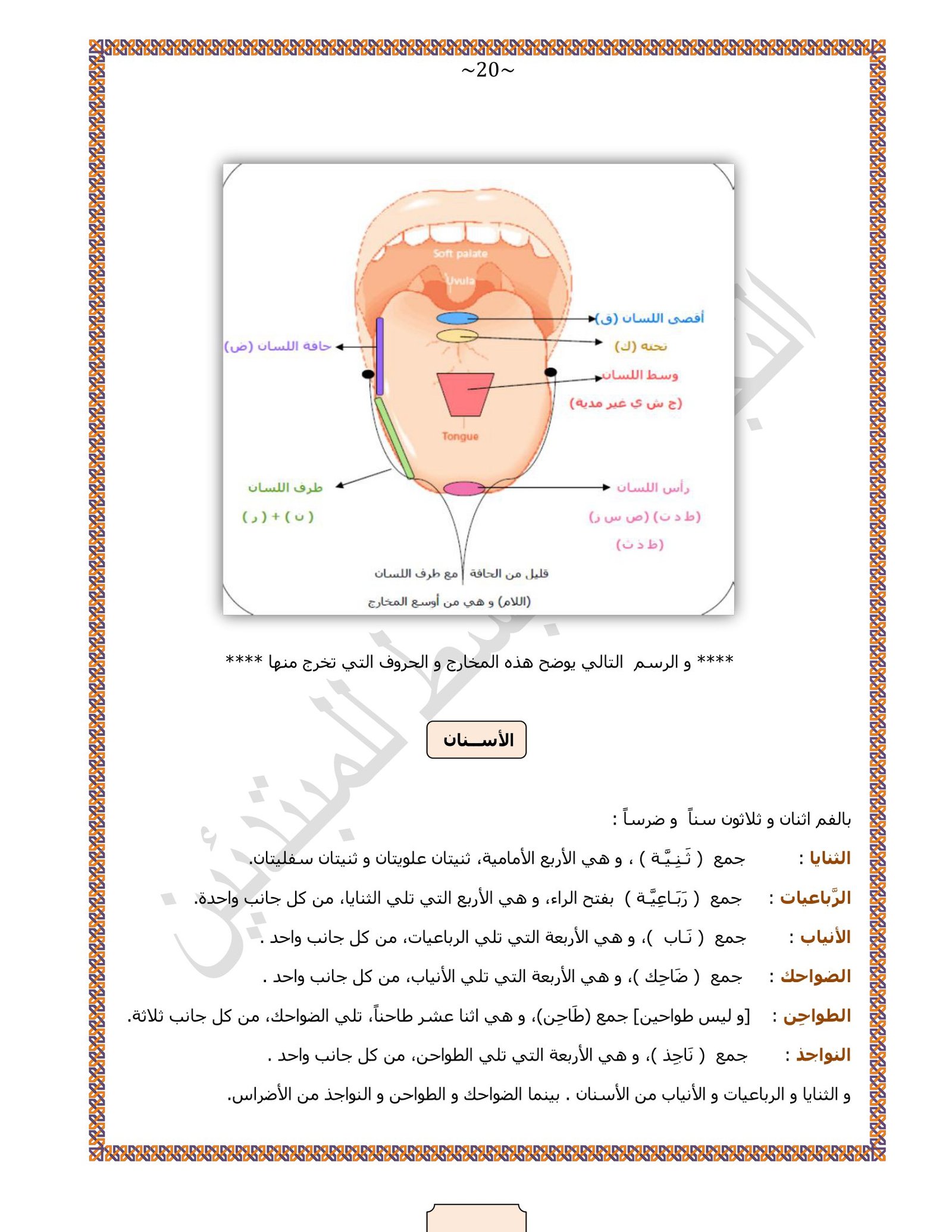 تحميل كتاب التجويد المبسط للمبتدئين PDF: دليلك الشامل لتعلم أحكام التجويد