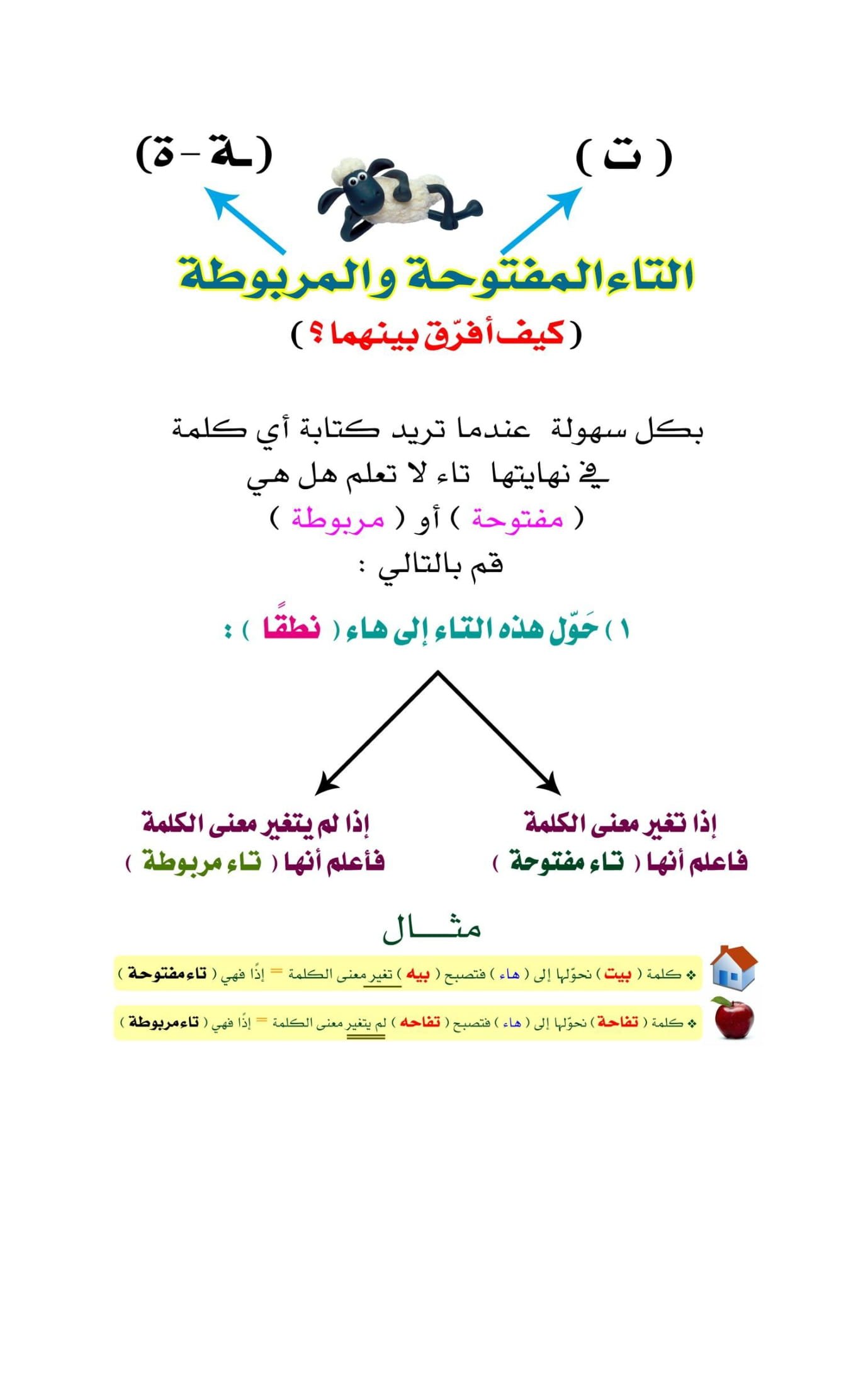 تأسيس أللغة العربية: مذكرة المهارات للصفوف الأولى pdf تأسيس أللغة العربية: مذكرة المهارات للصفوف الأولى pdf