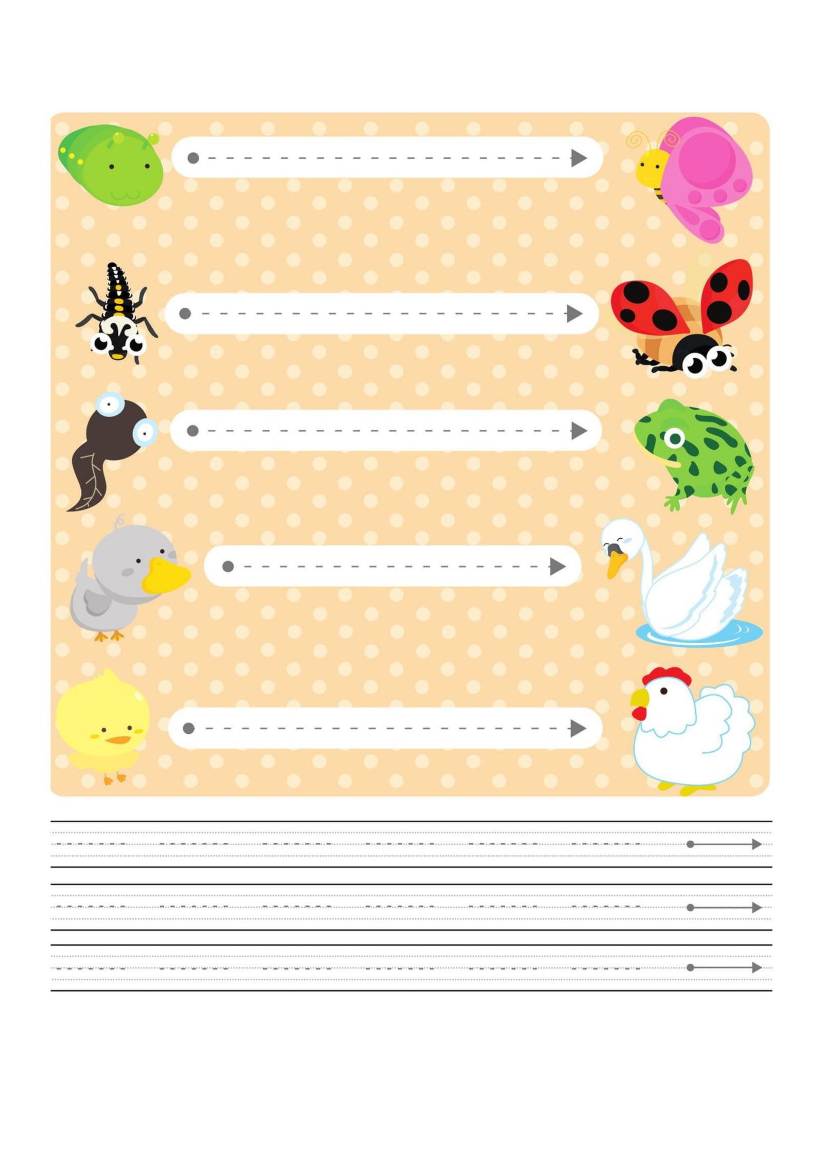 أوراق عمل أنشطة الإمساك بالقلم في الأسبوع التمهيدي pdf