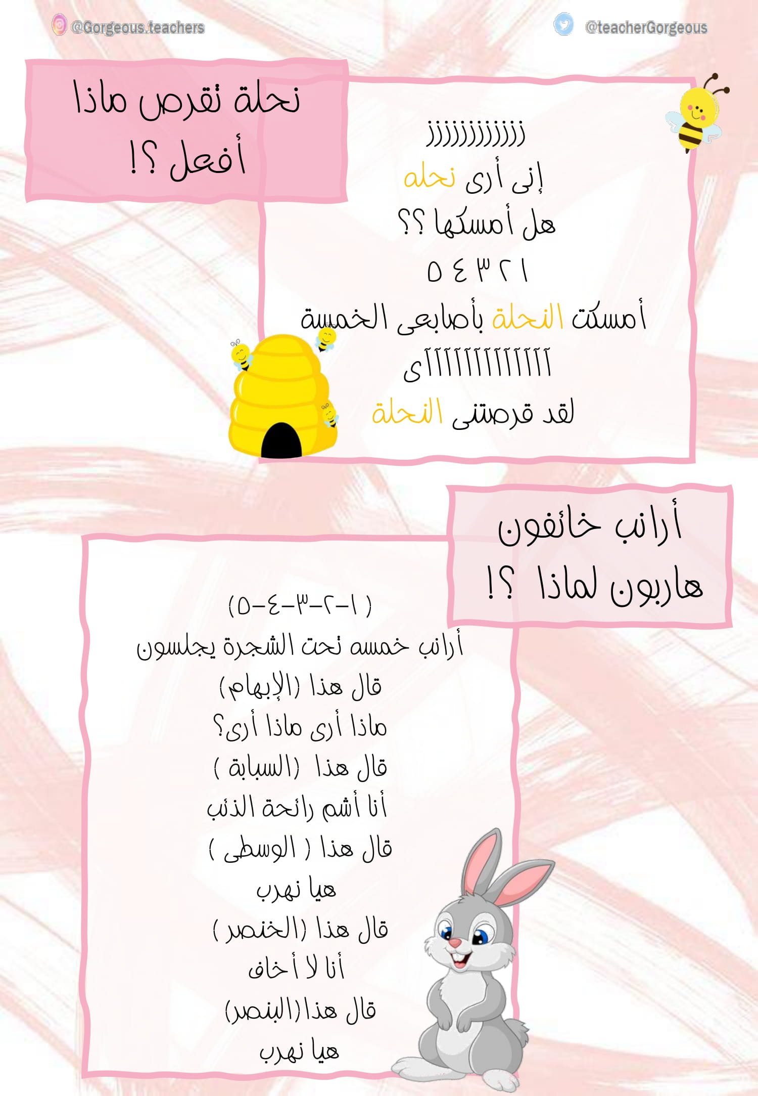 كراسة أنشطة الأسبوع التمهيدي pdf تحميل مجاني