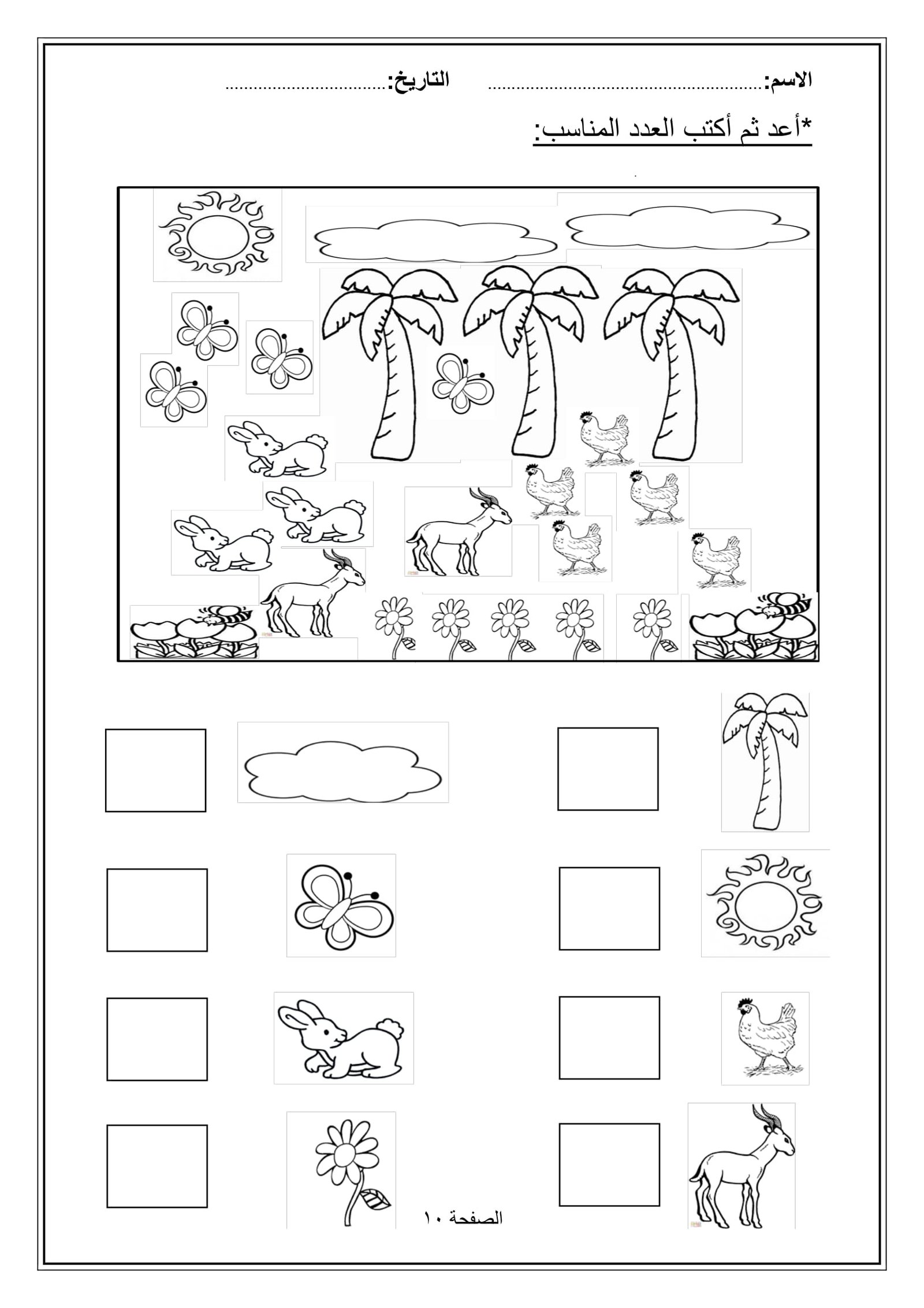 كتاب أنشطة وتدريبات في مادة الرياضيات للصف الأول pdf تحميل مجاني