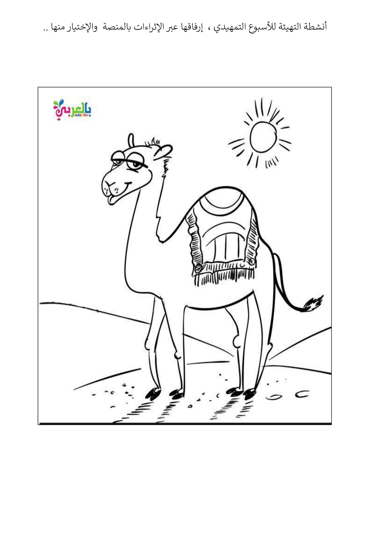 ملزمة أنشطة الأسبوع التمهيدي لتنمية المهارات pdf تحميل مباشر ملزمة أنشطة الأسبوع التمهيدي لتنمية المهارات pdf تحميل مباشر