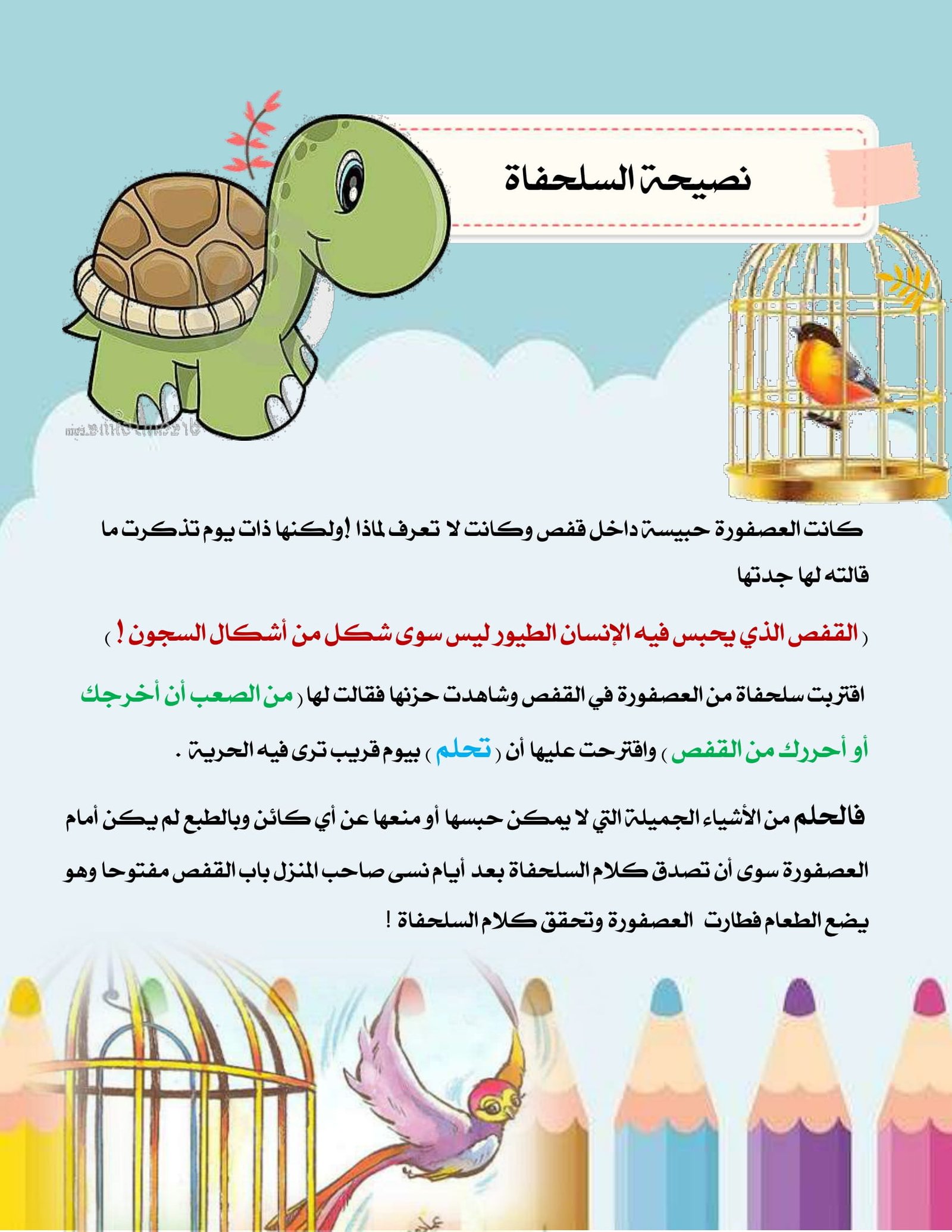 كتاب إضاءت للتهيئة الإرشادية pdf تحميل مباشر