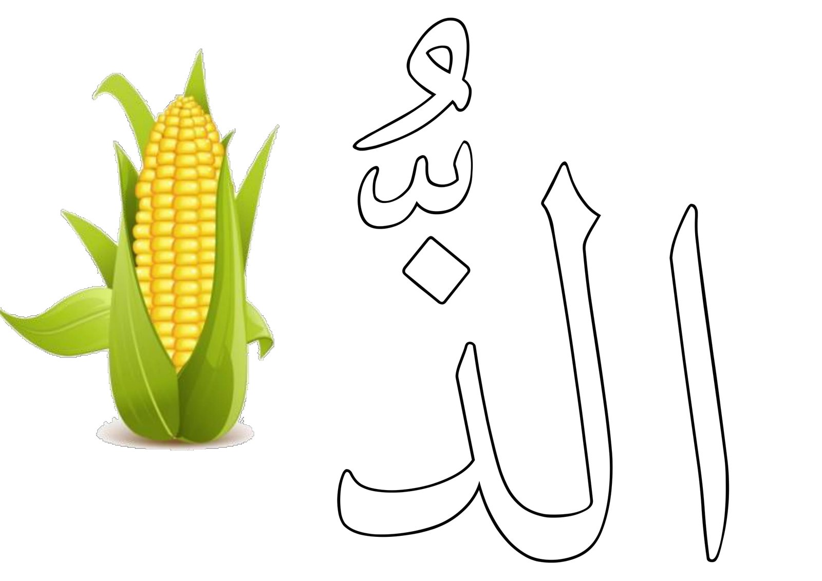 تحسين مهارة ال الشمسية والقمرية بسهولة مع ملزمة مجانية