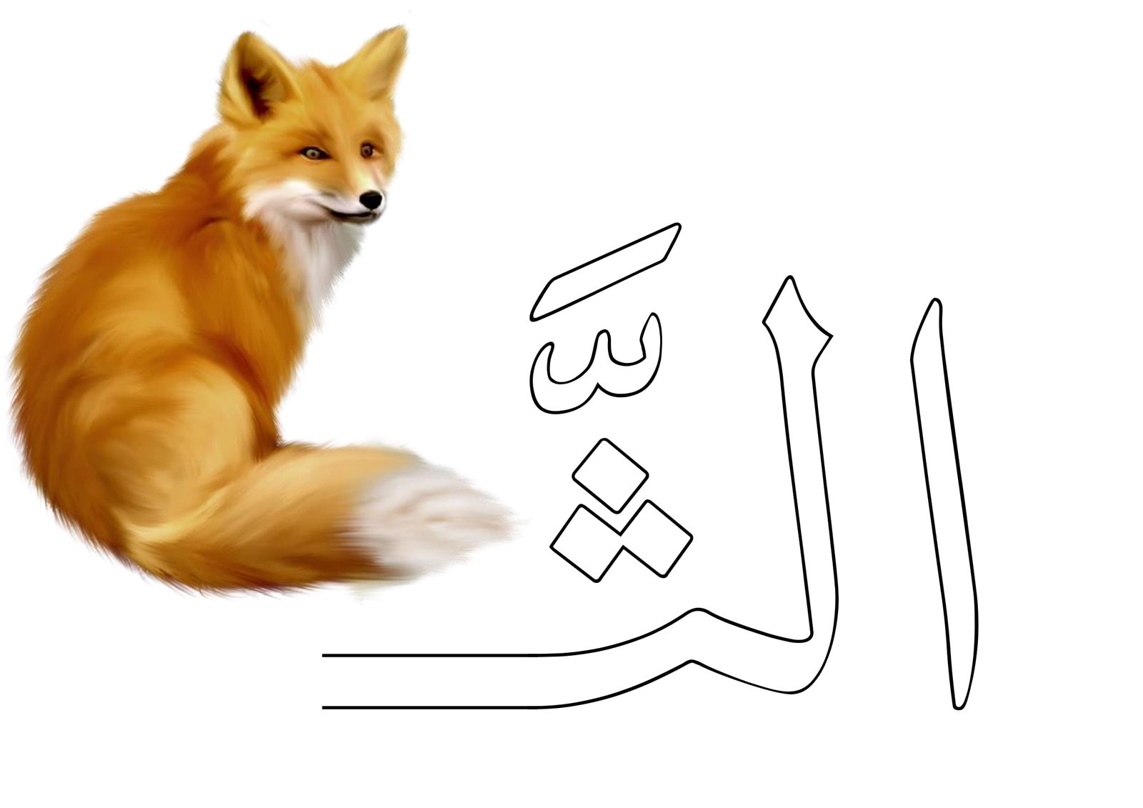 تحسين مهارة ال الشمسية والقمرية بسهولة مع ملزمة مجانية