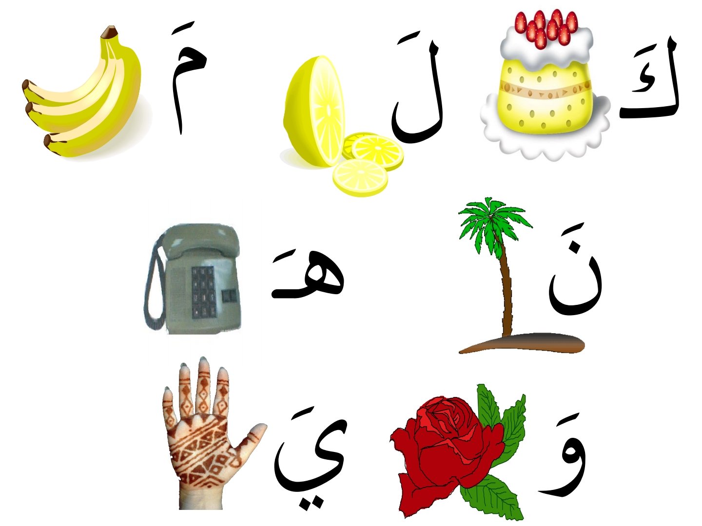 من البداية إلى الاحتراف: دليل شامل لتعليم القراءة والكتابة pdf تحميل مجاني