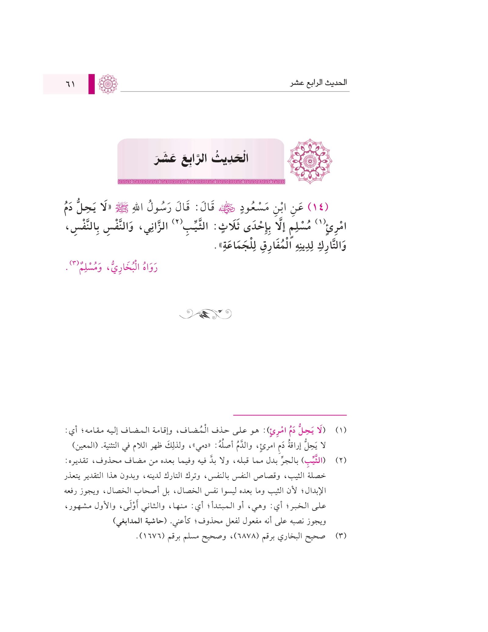 الأربعون النووية مع زيادات الحافظ بن رجب عليها خمسين حديث pdf مجاني