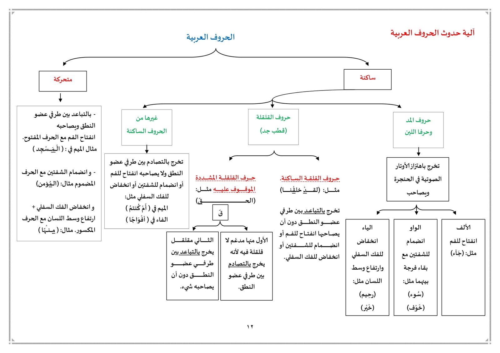 التجويد المنظم: أفضل الطرق والموارد لتعلم التجويد بسهولة