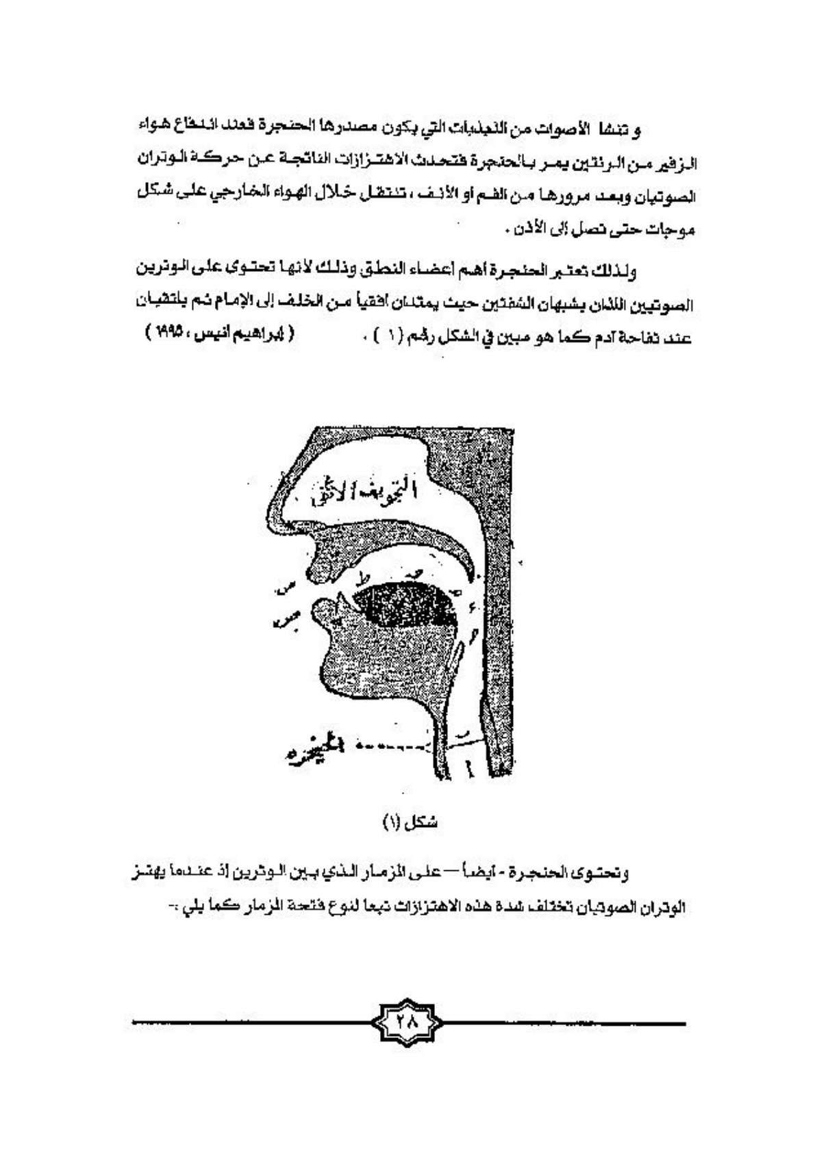 اضطرابات النطق والكلام: أسبابها، أنواعها، وطرق التعامل معها