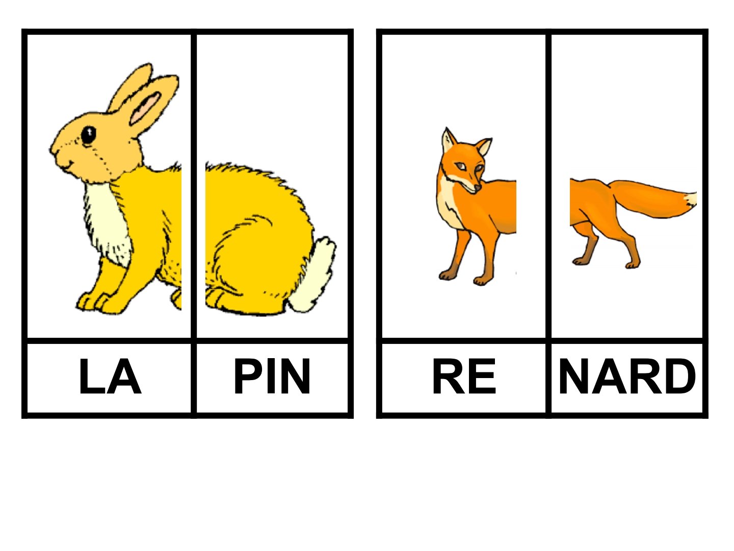 تعلّم الفرنسية بذكاء: بطاقاتك لطلاقة أسرع