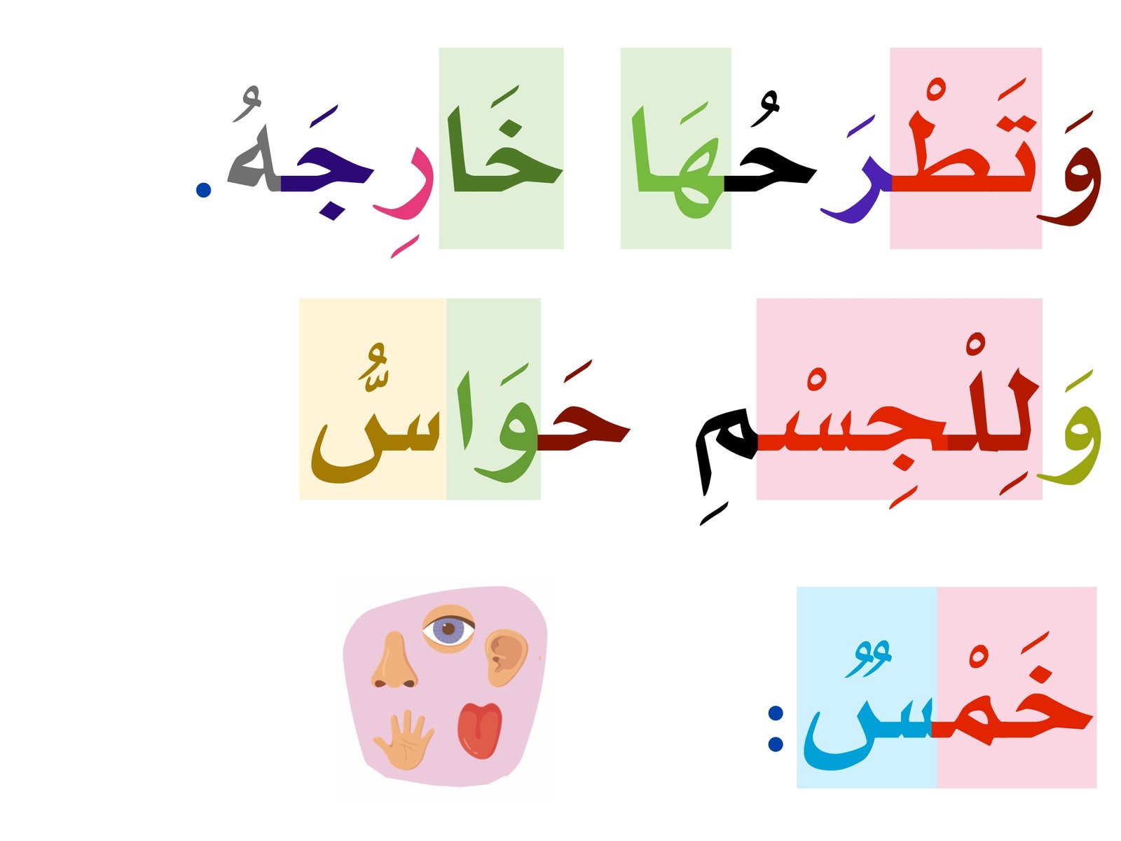 أعضاء الجسم: قاموس لغوي حي