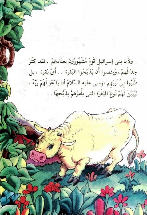 لغز البقرة الصفراء: حكاية بني إسرائيل والطمع