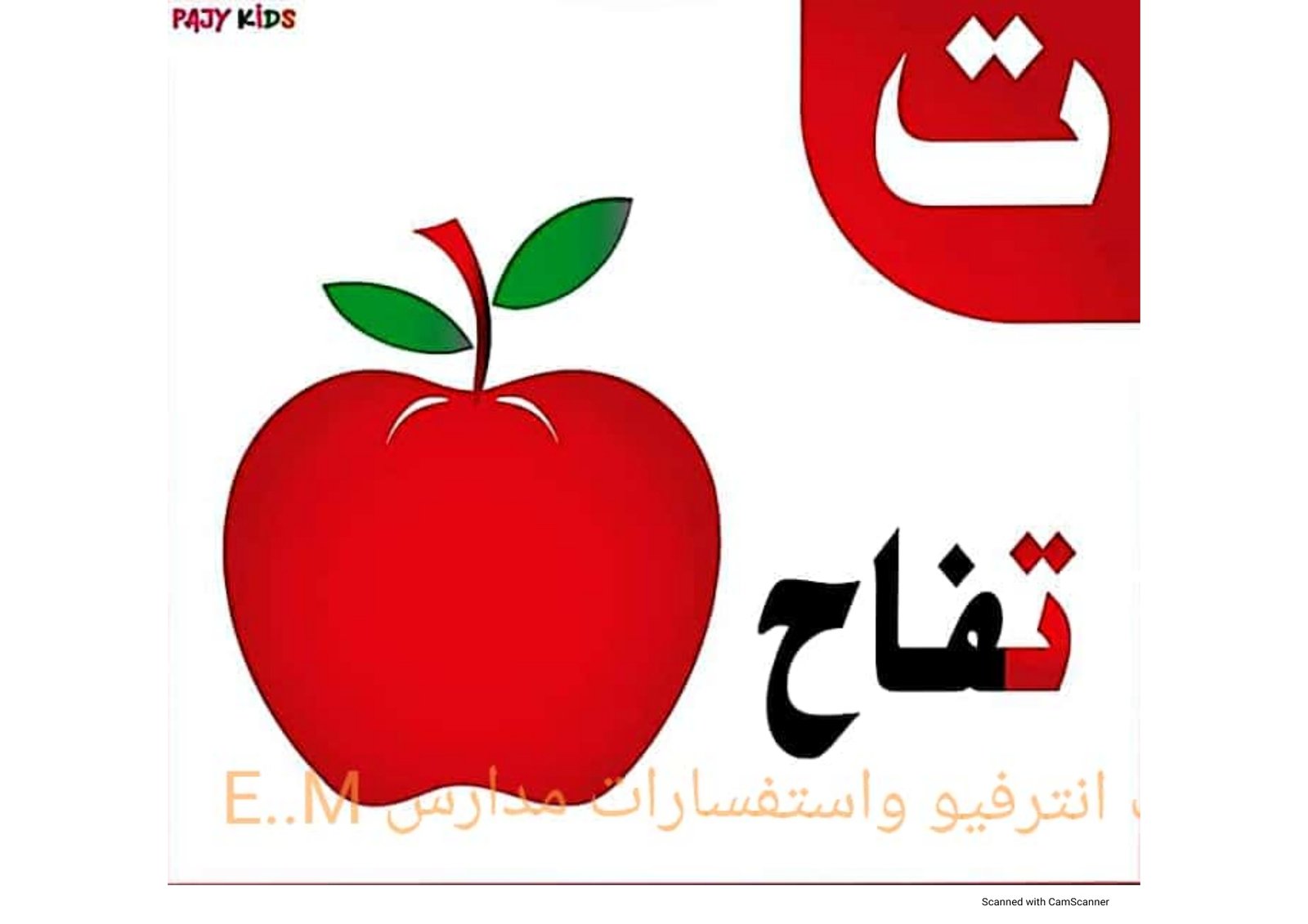 الحروف الأبجدية: مفتاحك لعالم الكلمات