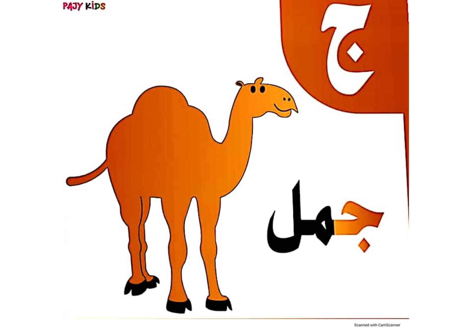 الحروف الأبجدية: مفتاحك لعالم الكلمات