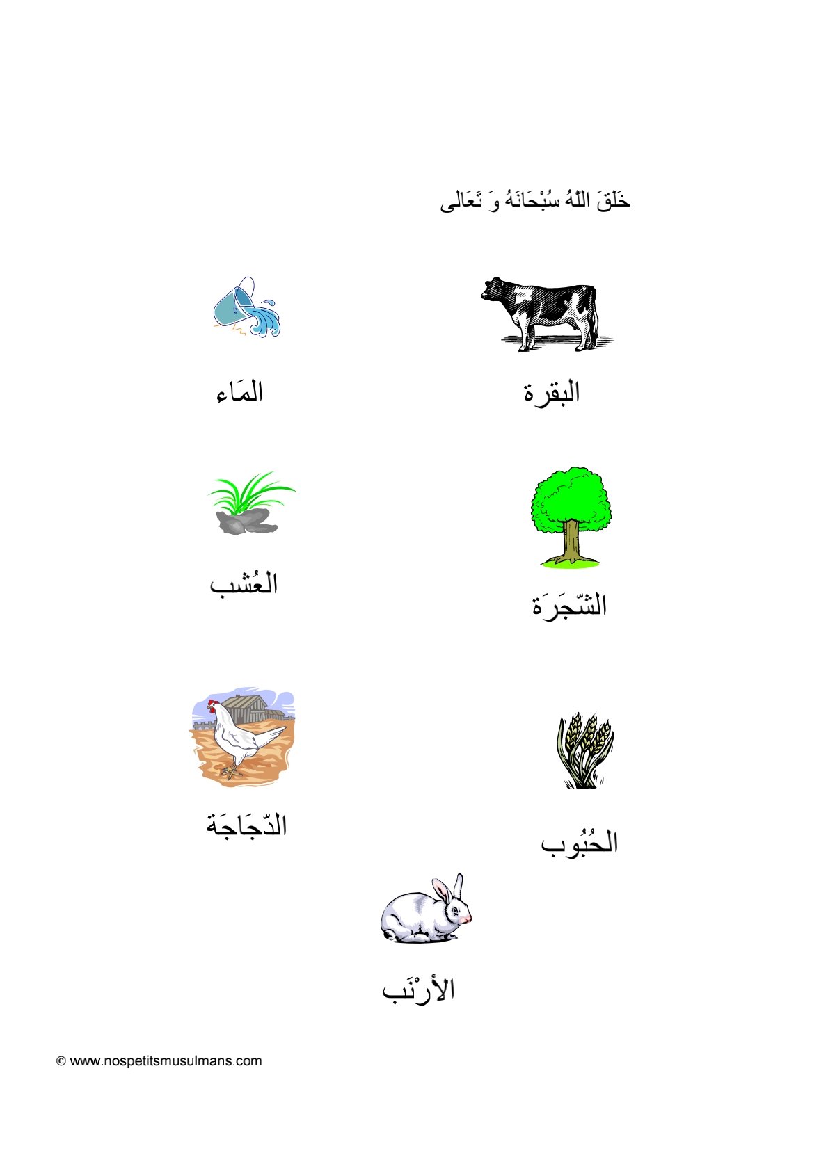 اكتشف معي: مخلوقات الله الجميلة في كل مكان اكتشف معي: مخلوقات الله الجميلة في كل مكان