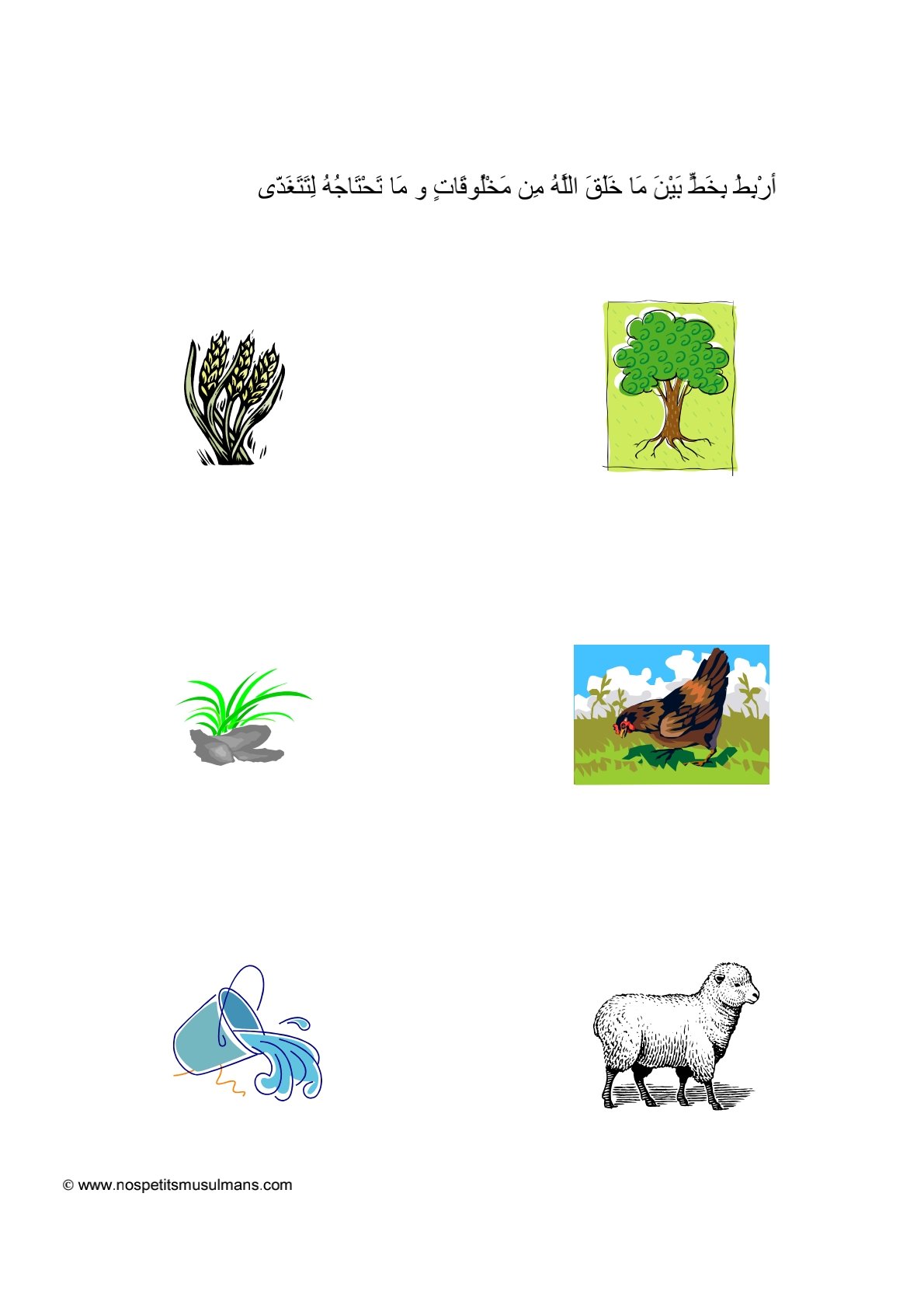 اكتشف معي: مخلوقات الله الجميلة في كل مكان اكتشف معي: مخلوقات الله الجميلة في كل مكان