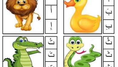 ملزمة أصوات الحروف السحرية