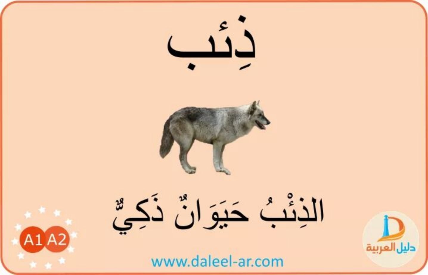 مملكة الحيوانات وصفاتها السحرية مملكة الحيوانات وصفاتها السحرية