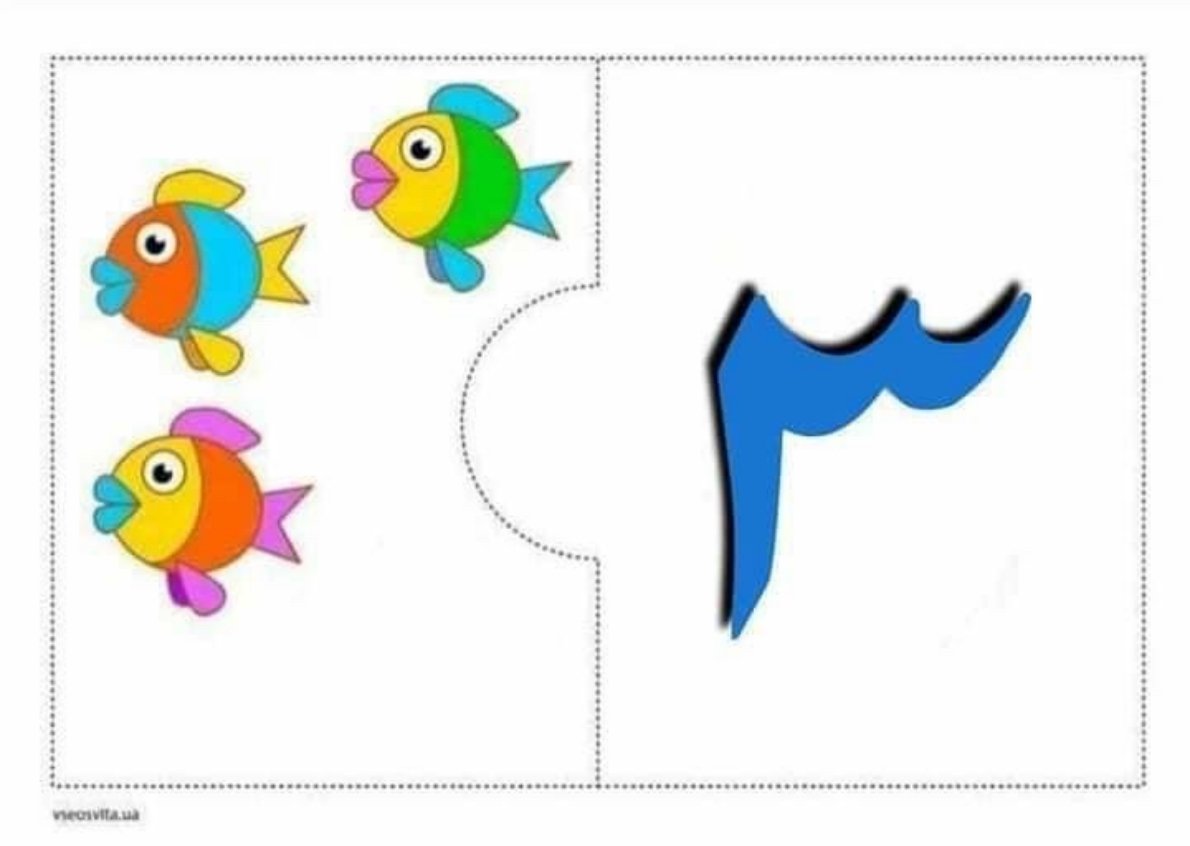 خطوة بخطوة نحو العد