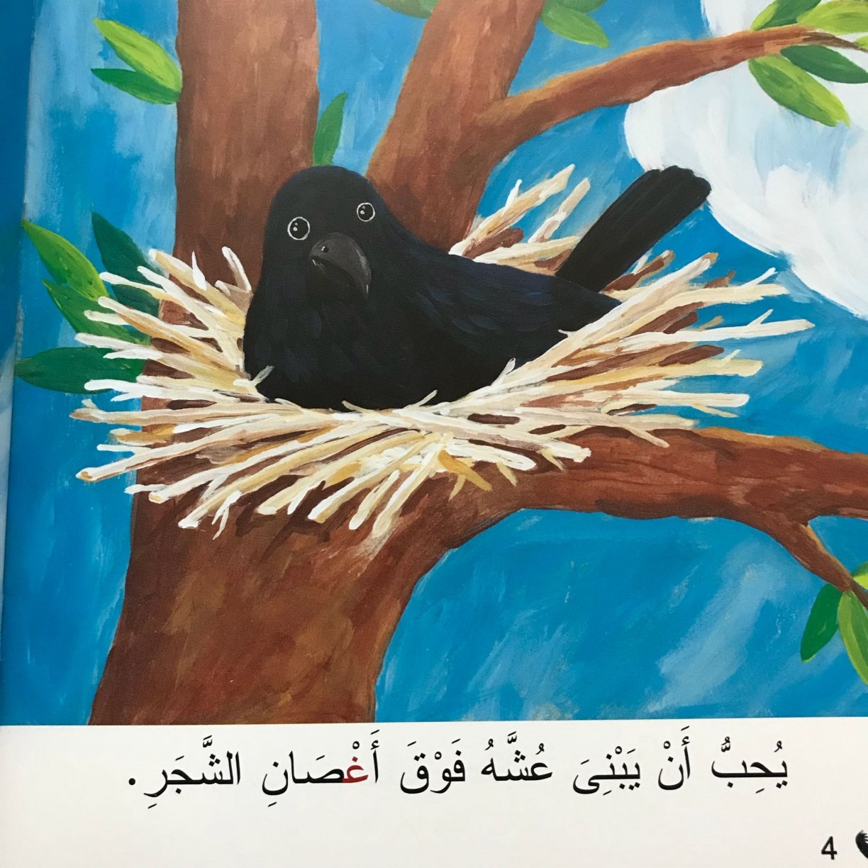 قصة حرف الغين: الغراب الابيض