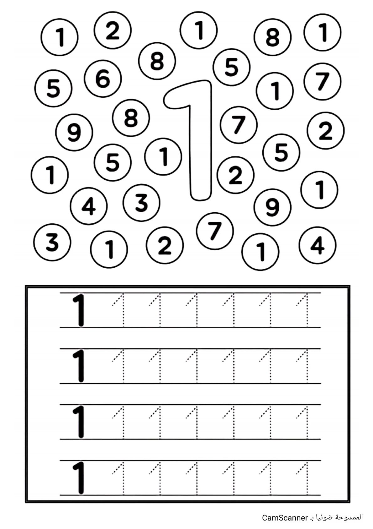 مغامرة الأرقام: استكشاف عالم الأعداد