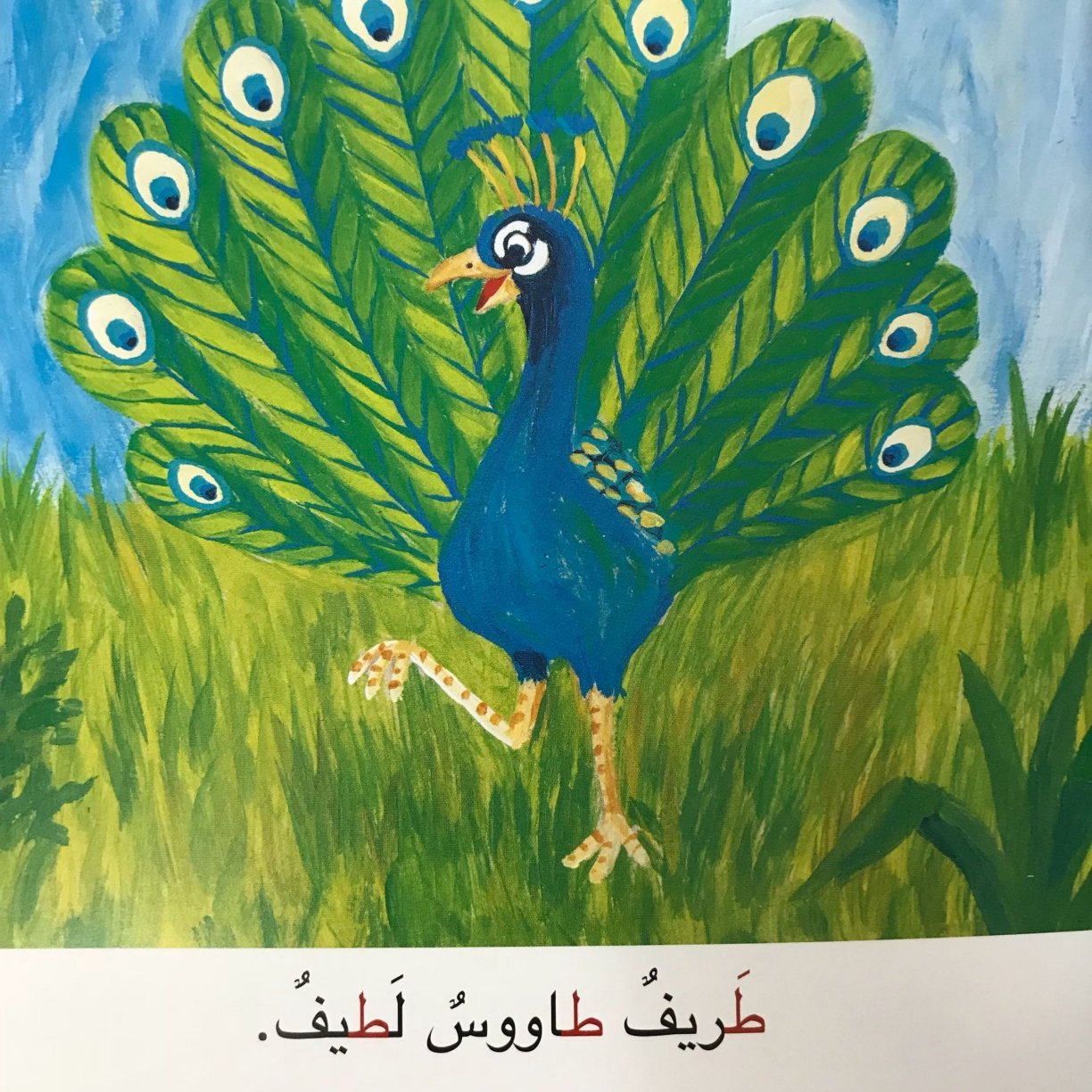 الطائر الطريف: قصص حرف الطاء الطائر الطريف: قصص حرف الطاء