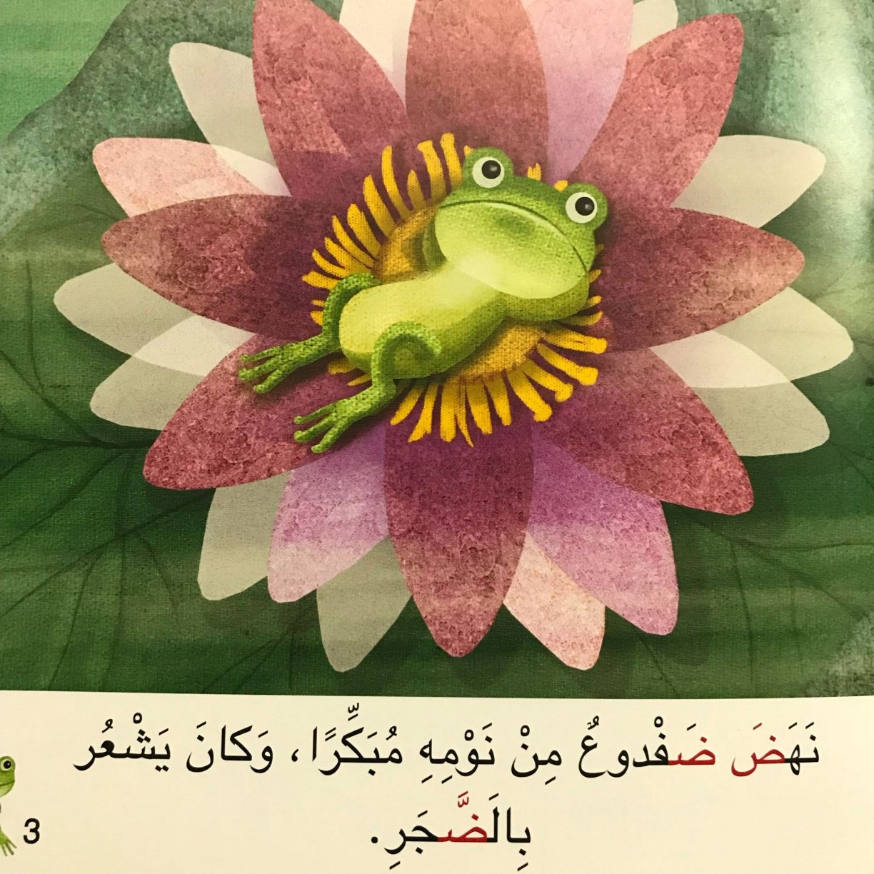 قصة حرف الضاد: ضفدع يضيع في الضباب