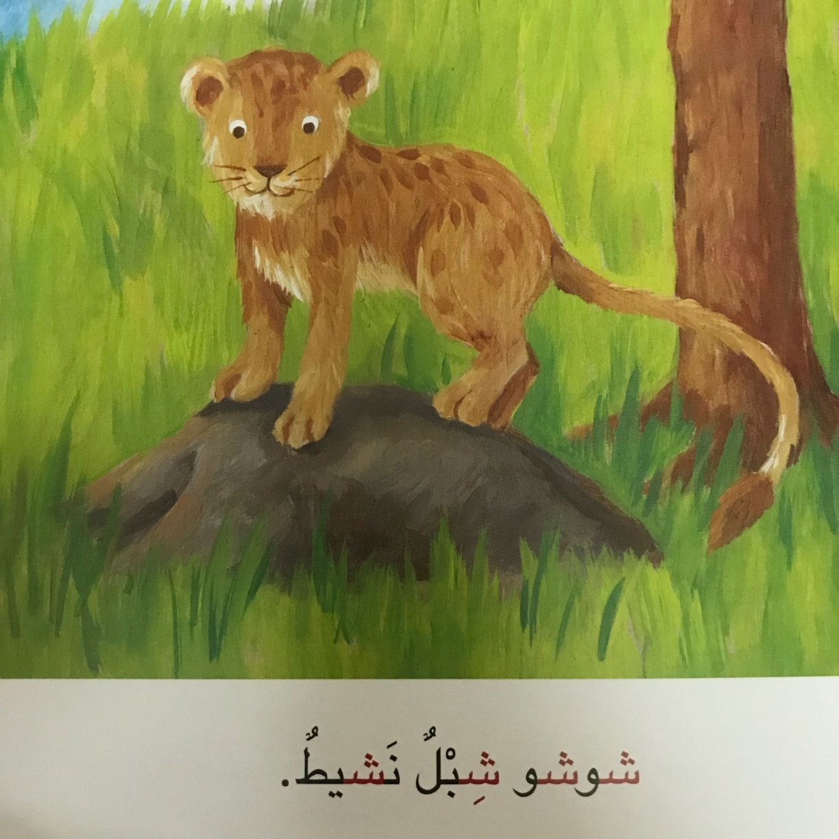 شوشو والشبكة الذهبية: حكاية حرف الشين