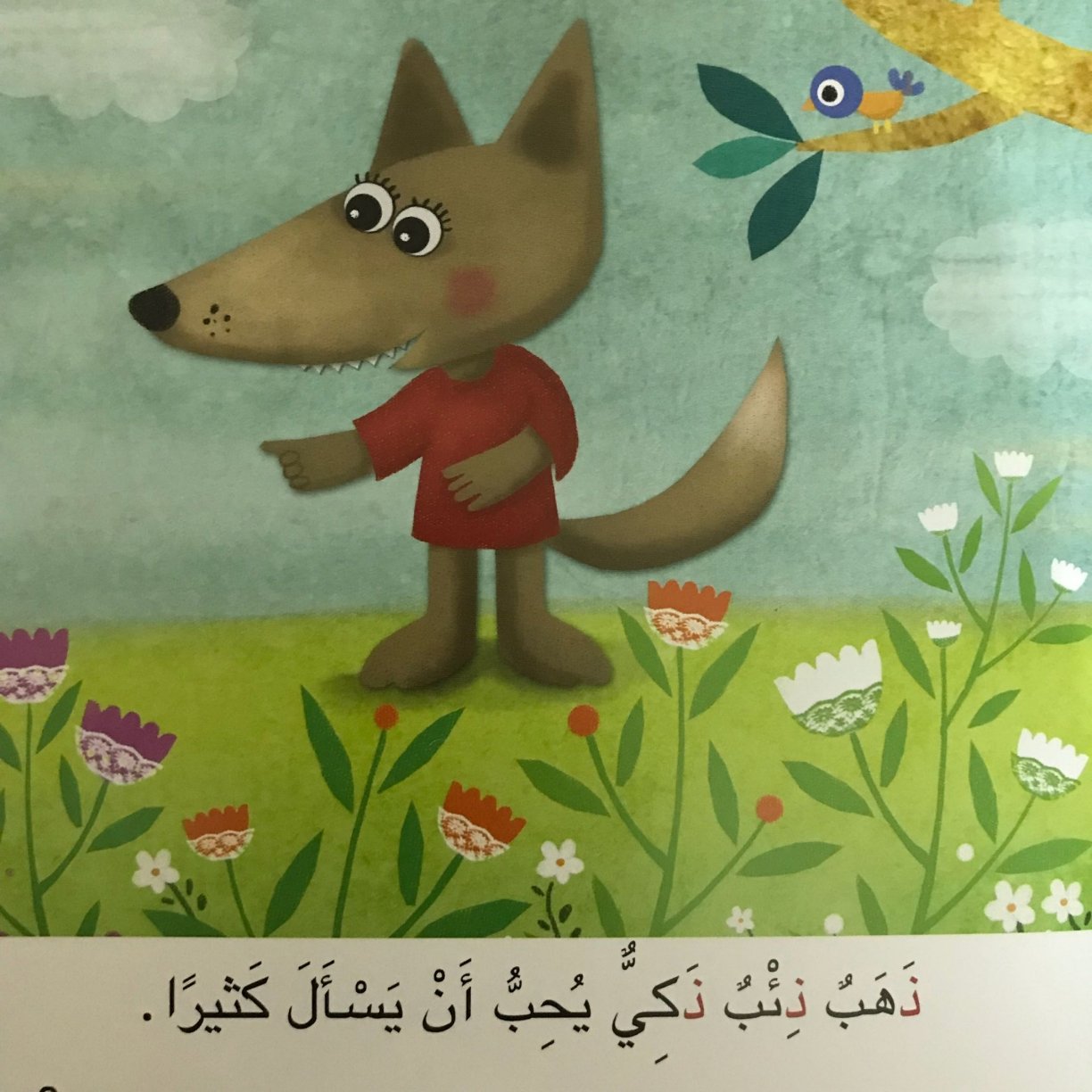 الذئب الفضولي: رحلة في عالم حرف الذال