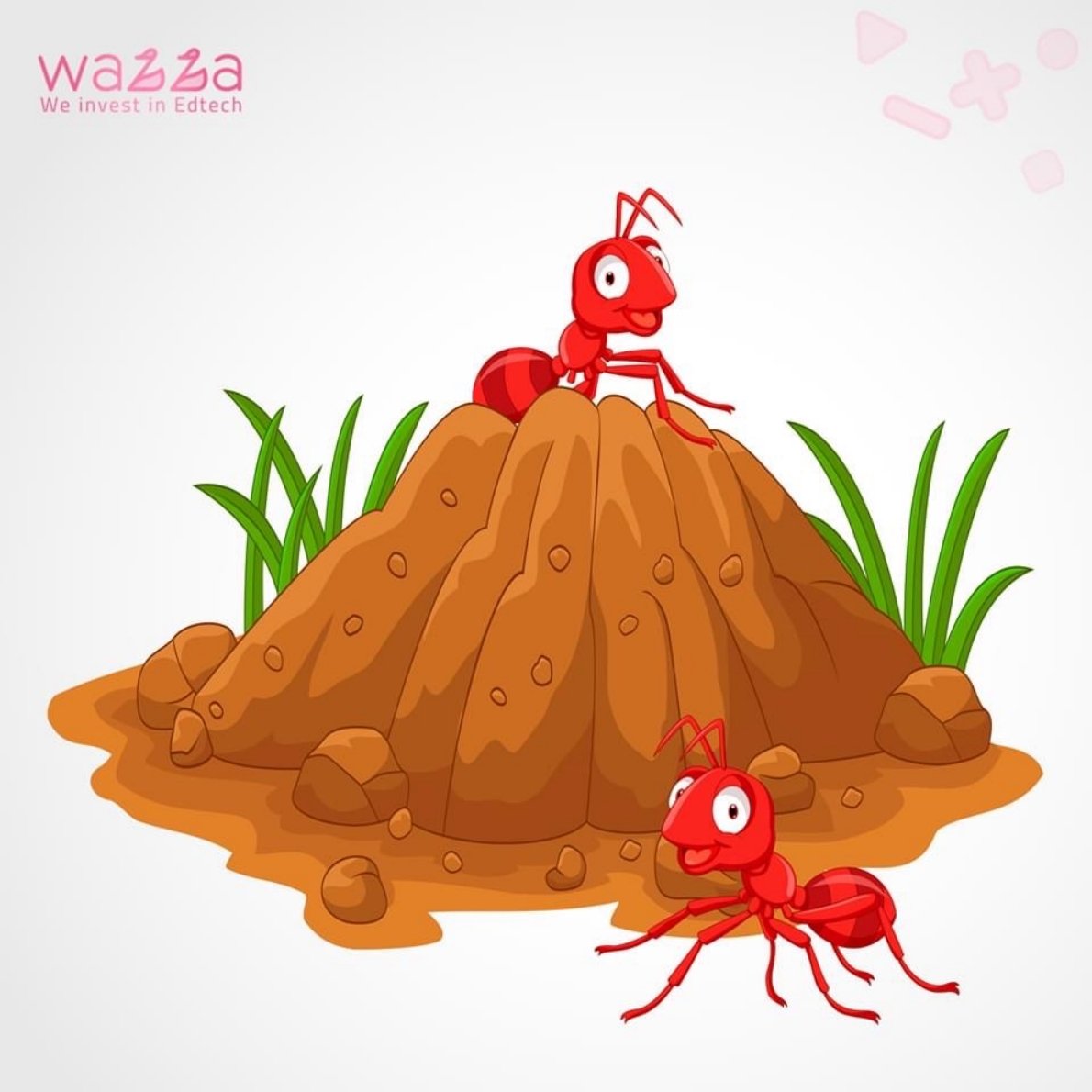 جولة في بيوت الحيوانات: رحلة استكشافية رائعة