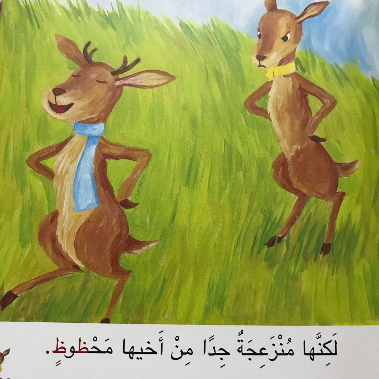 ظريفة و محظوظ: حكايات من عالم حرف الظاء