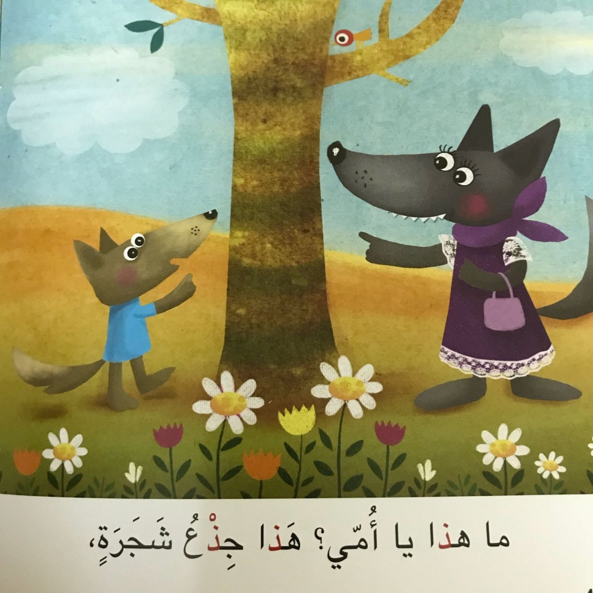 الذئب الفضولي: رحلة في عالم حرف الذال